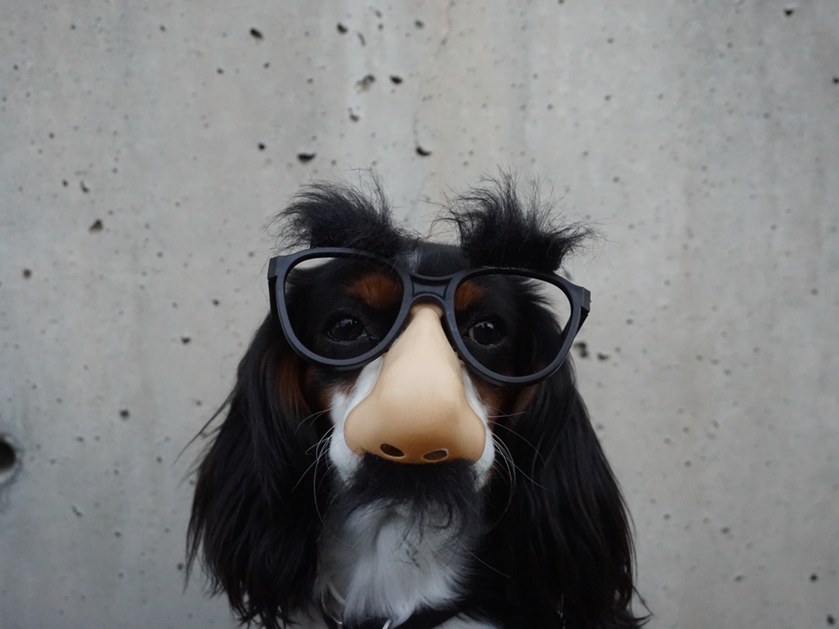 When the Novelty Wears Off