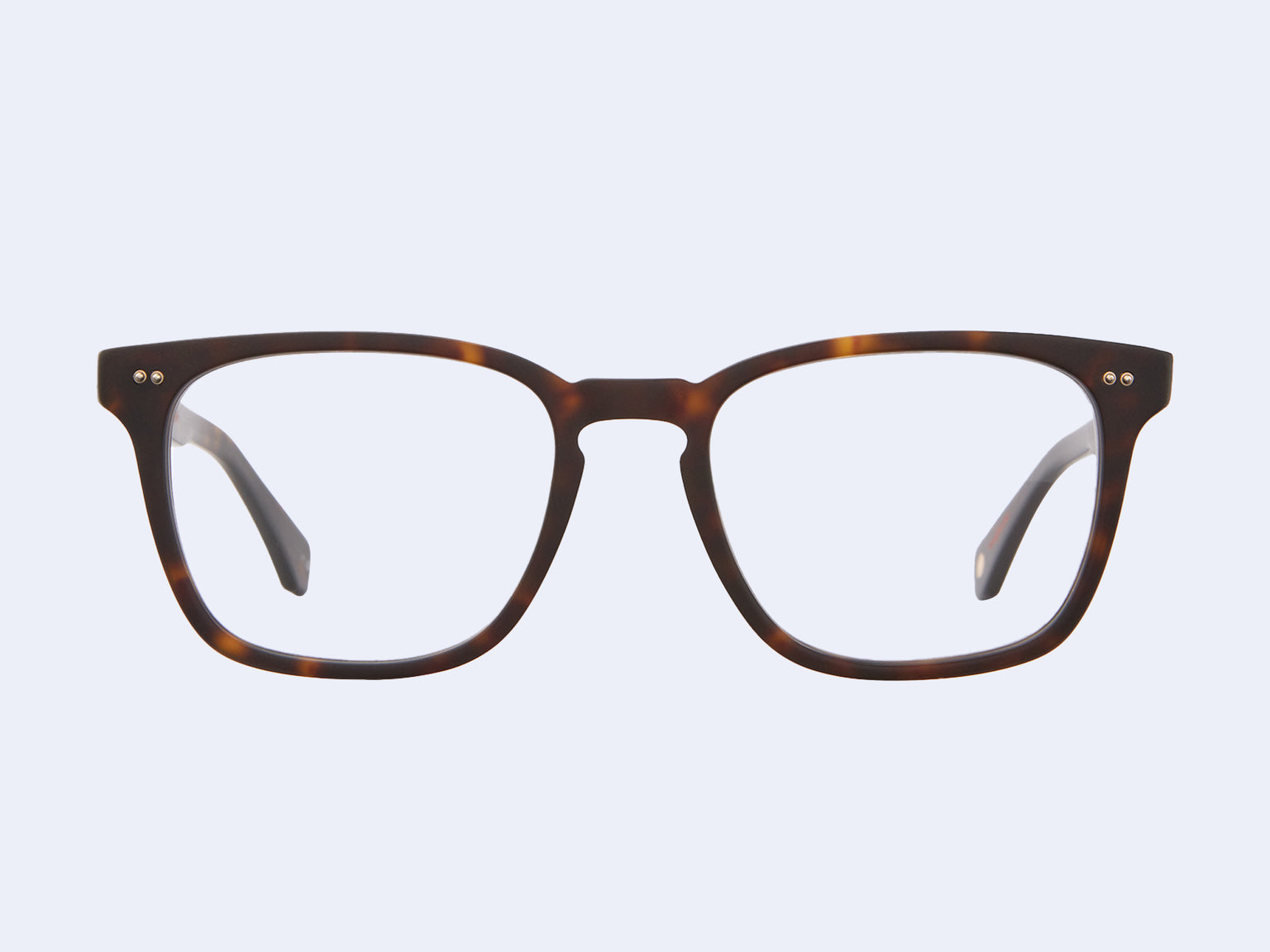 Garrett Leight Earvin (Matte Cookie Tortoise)