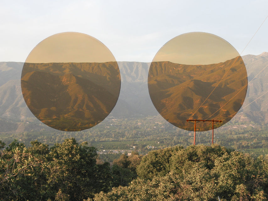 Seen Custom Sunglass Lenses (Tangerine Dreams)